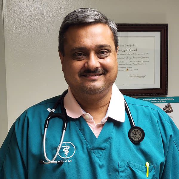 Dr. Sandeep Grewal, Rochester Veterinarian