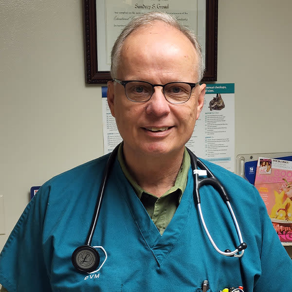 Dr. William Houska, Rochester Veterinarian