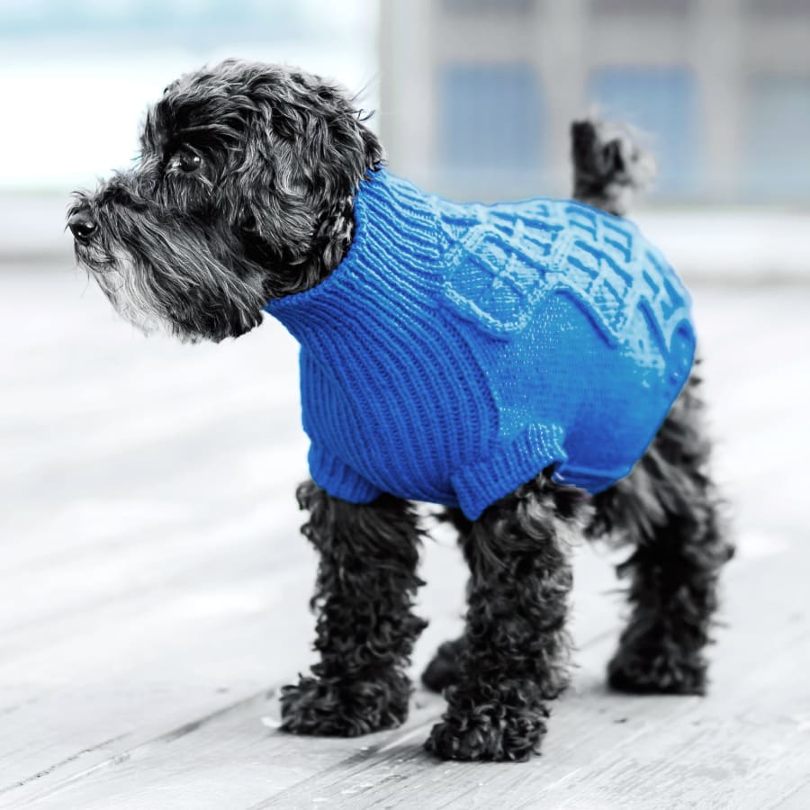 Dog Vaccinations in Rochester